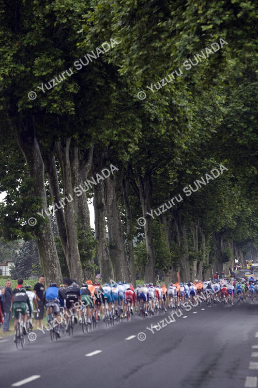 Peloton004p.jpg